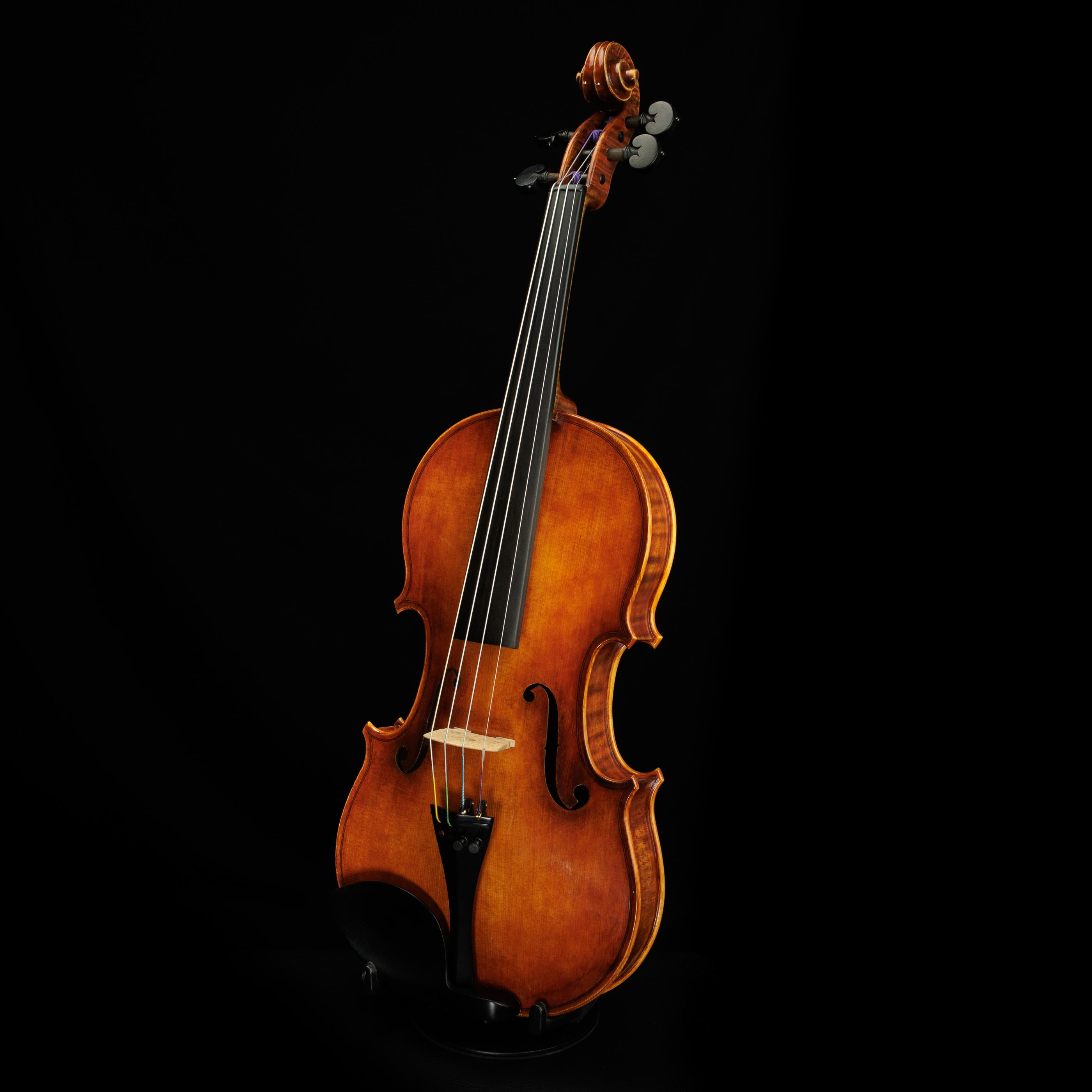 Violino frente